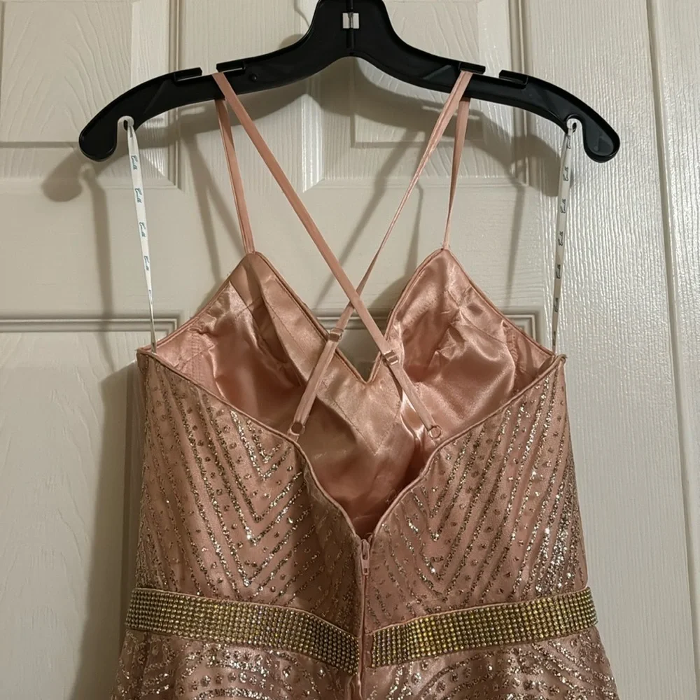 Pink Gown - Picture 9 of 11